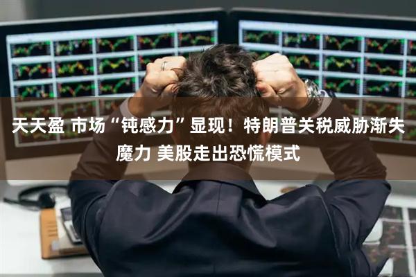 天天盈 市场“钝感力”显现！特朗普关税威胁渐失魔力 美股走出恐慌模式