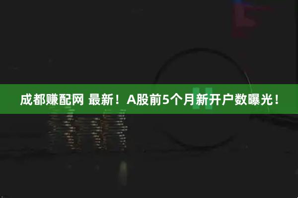 成都赚配网 最新！A股前5个月新开户数曝光！