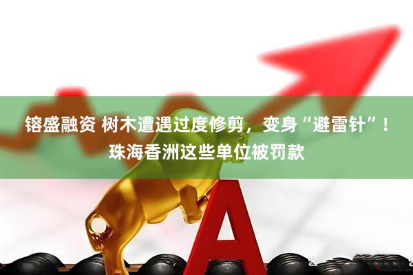 镕盛融资 树木遭遇过度修剪，变身“避雷针”！珠海香洲这些单位被罚款