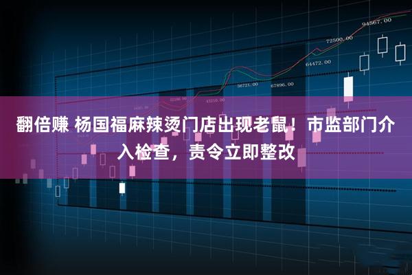 翻倍赚 杨国福麻辣烫门店出现老鼠！市监部门介入检查，责令立即整改