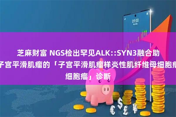 芝麻财富 NGS检出罕见ALK::SYN3融合助力形似子宫平滑肌瘤的「子宫平滑肌瘤样炎性肌纤维母细胞瘤」诊断