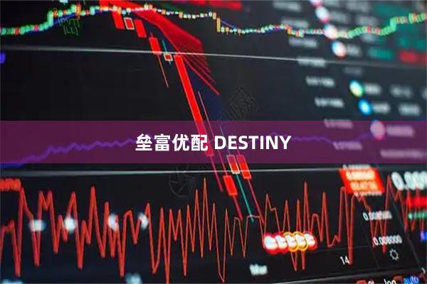 垒富优配 DESTINY