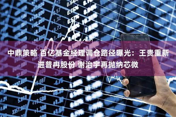 中鼎策略 百亿基金经理调仓路径曝光：王贵重新进普冉股份 谢治宇再抛纳芯微