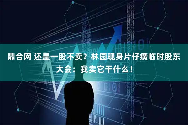鼎合网 还是一股不卖？林园现身片仔癀临时股东大会：我卖它干什么！