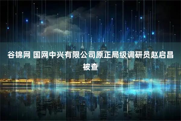 谷锦网 国网中兴有限公司原正局级调研员赵启昌被查